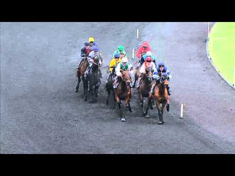 Course Prix des Centaures 2013