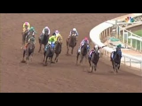 2017 Breeders Cup Distaff + Post Race