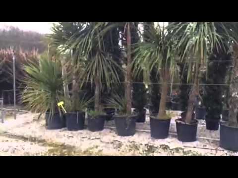 yes, weekend! QUI_Tv - VIVAIO DUEGGI