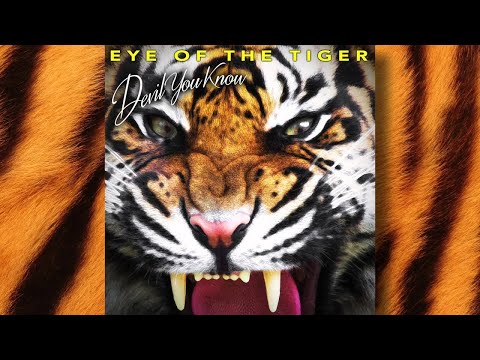 Eye Of The Tiger video