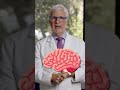 What Supplements Does Dr. Gundry Take?