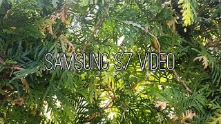 SGS7 - 4K / Ultra HD / UHD 25p - Samsung Galaxy S7