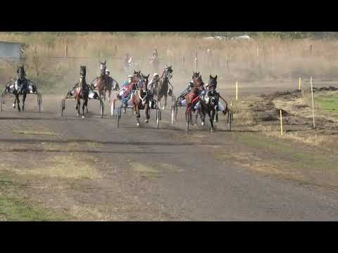 Trka "Faraon Stone" 10.10.2020 Clair De Lune - Miodrag Pantić