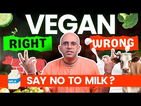 Say No to Milk || Vegan: Right or Wrong || HG Amogh Lila Prabhu