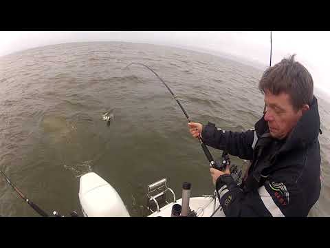 Gäddfiske Cr istället för lax 2020 Vänern