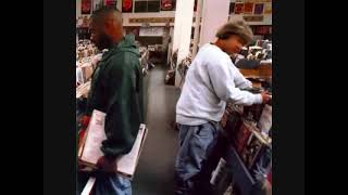 Dj Shadow   Changeling Transmission 1