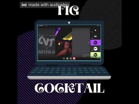 F.I.G - Cocktail (Official Audio)