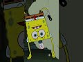 SpongeBob | SpongeBob laat deze haai PRECIES weten wat hij denkt | #shorts