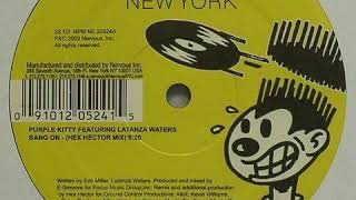 PURPLE KITTY feat LATANZA WATERS - Bang On (Thick Dick dub)