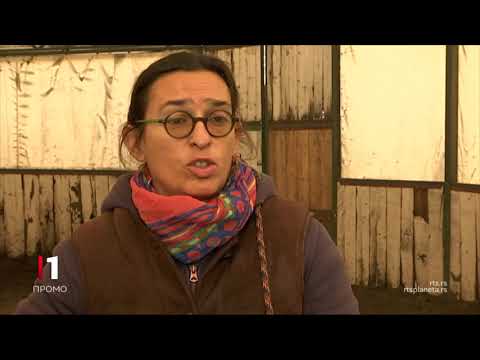Profesionalci: Jovanka Perić, učitelj jahanja