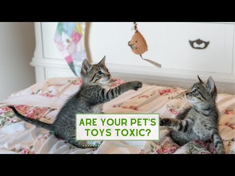 Are your Pets TOYS TOXIC?