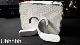 Moondrop Evo TWS Review: Uhhhhhhhhhh Probably ......