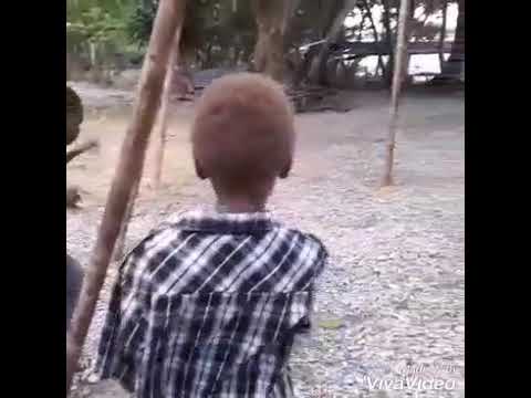 Ol boy lo house nomo