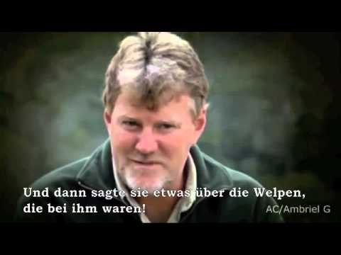 Tierkommunikation