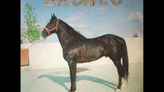 Bronco - El Mal De Las Mujeres (1982)