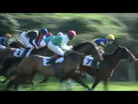 Napoli Galoppo 03/01/2023 - 1ª corsa