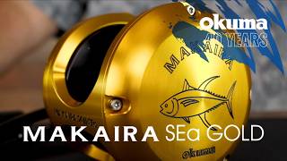 Video thumbnail 1