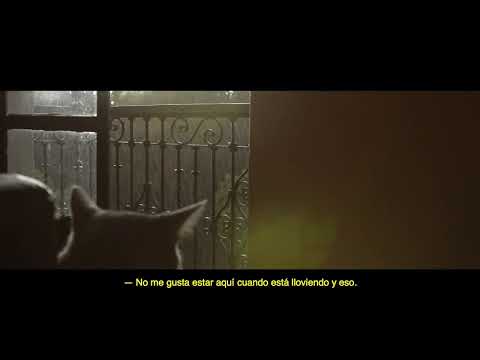 'Cuando está lloviendo y eso'. Finalista a Mejor Videominuto Internacional 2024