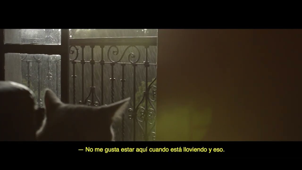 'Cuando está lloviendo y eso'. Finalista a Mejor Videominuto Internacional 2024