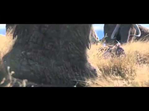 CGI VFX HD Showreel 2012 by MPC