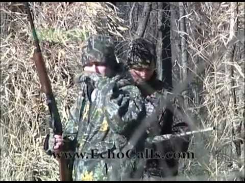 5 Bands In A Row - Mallard Whackin' Echo Style