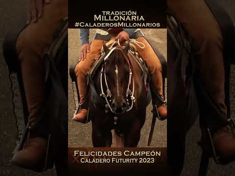 Campeon Caladero Futurity THV 2023 - Juan Villaseñor