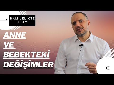 Hamilelikte 2. Ay | Neler Değişir? Nelere Dikkat Edilmeli?
