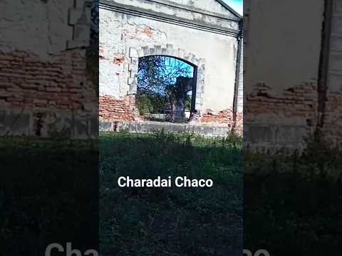 Charadai Chaco