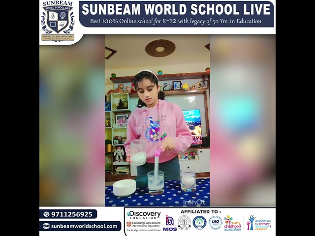 Sunbeam World School Students Conduct Salt Water Experiment 🔬