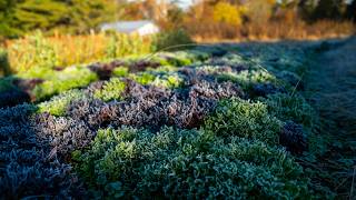 Know Your Frost Protection
