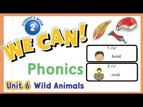انجليزي we can 2 unit 6 الوحدة السادسة phonics الصوتيات sounds and letters
