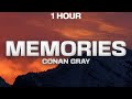 [1 HOUR] Conan Gray - Memories (Lyrics)
