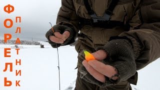Рыбалка в подмосковье на новогодние праздники