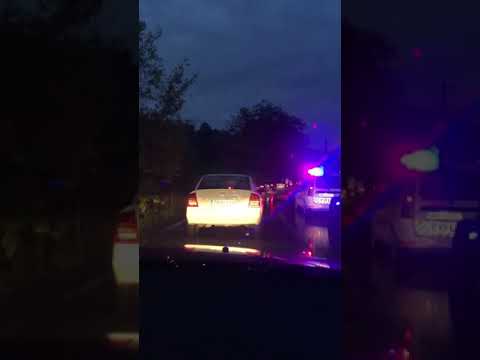 Circulație reluată Feldu Nepos