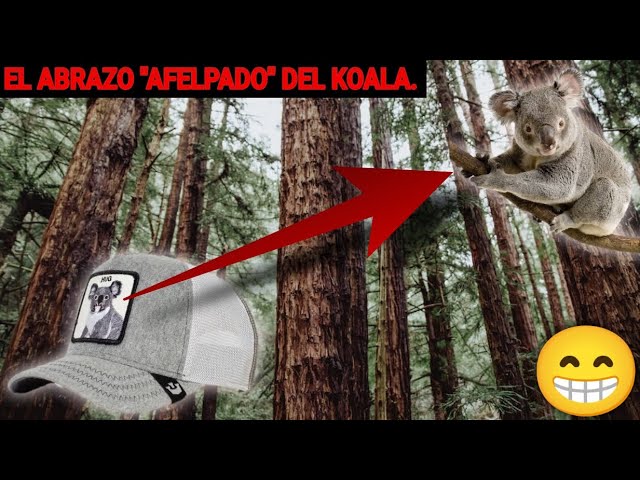 Vídeo relacionado con Capslab Snoopy Peanuts Negro Blanco Placa de Metal Gorra de Camionero