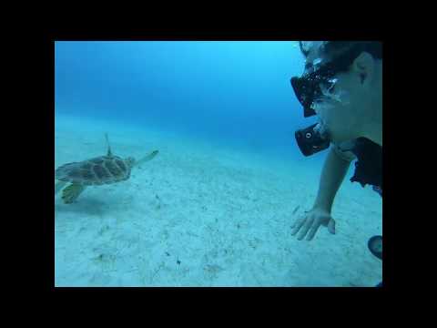 Chief Ministers | Grand Turk | Turks and Caicos Islands | 20/11/19