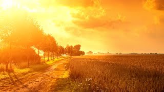 Jacob Henry, Approaching Black - Yesterday's Tears (Shingo Nakamura Remix) [Silk Music]