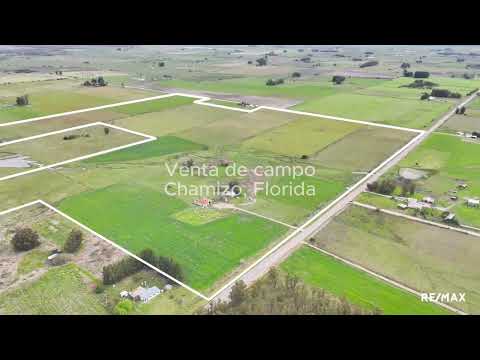 Campo en Venta 42.52 has en Florida, Uruguay