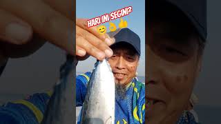 Download lagu Hora Umum 🤭 mp3 Download lagu Hora Umum 🤭 mp3