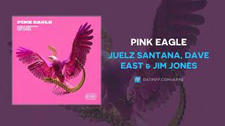 Pink Eagle Music Video
