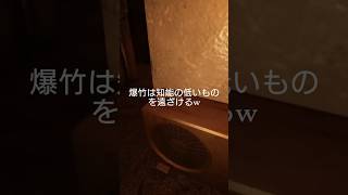 爆竹は知能の低いものを遠ざけるw　シャドーコリドー編その2 #shadowcorridor #シャドーコリドー #影廊　#ゲーム実況 #ホラー #ホラーゲーム