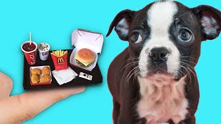 Making Tiny Foods for a Tiny Rescue Dog 🍟🐶 McDonalds mini 🍔