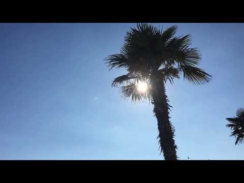 Vagskee - Wander (MassAndRa.W Beat-Tape)