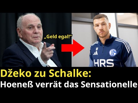 Nicht wegen Kohle! Hoeneß über den Džeko-Hammer
