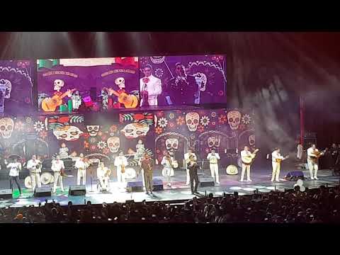 Los Caligaris con Mariachi