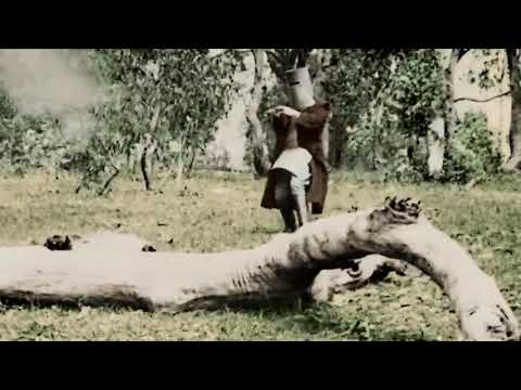 The Kelly Gang Film  1906 in Colour