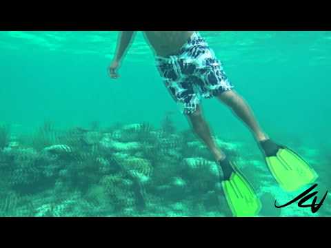 Xcalak Reef Snorkeling - YouTube