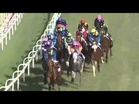 Legislate - Daily News 2000 2014 (Gr1)