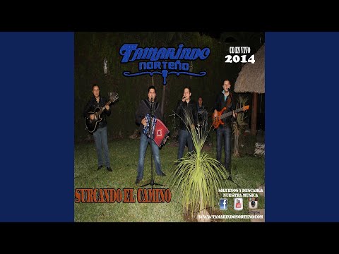 Voy A Pistearme El Dolor