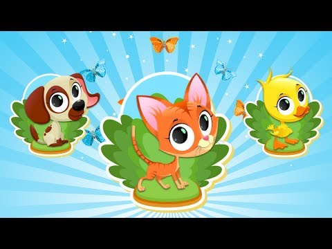 Peg Puzzle for Toddlers Video